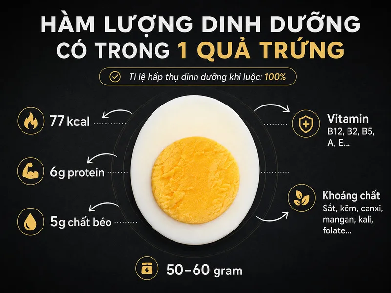 Protein, choline, vitamin A, D, B12 và selenium là những dưỡng chất đáng chú ý trong trứng.